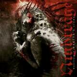 Nightrage - Wearing A Martyr's Crown